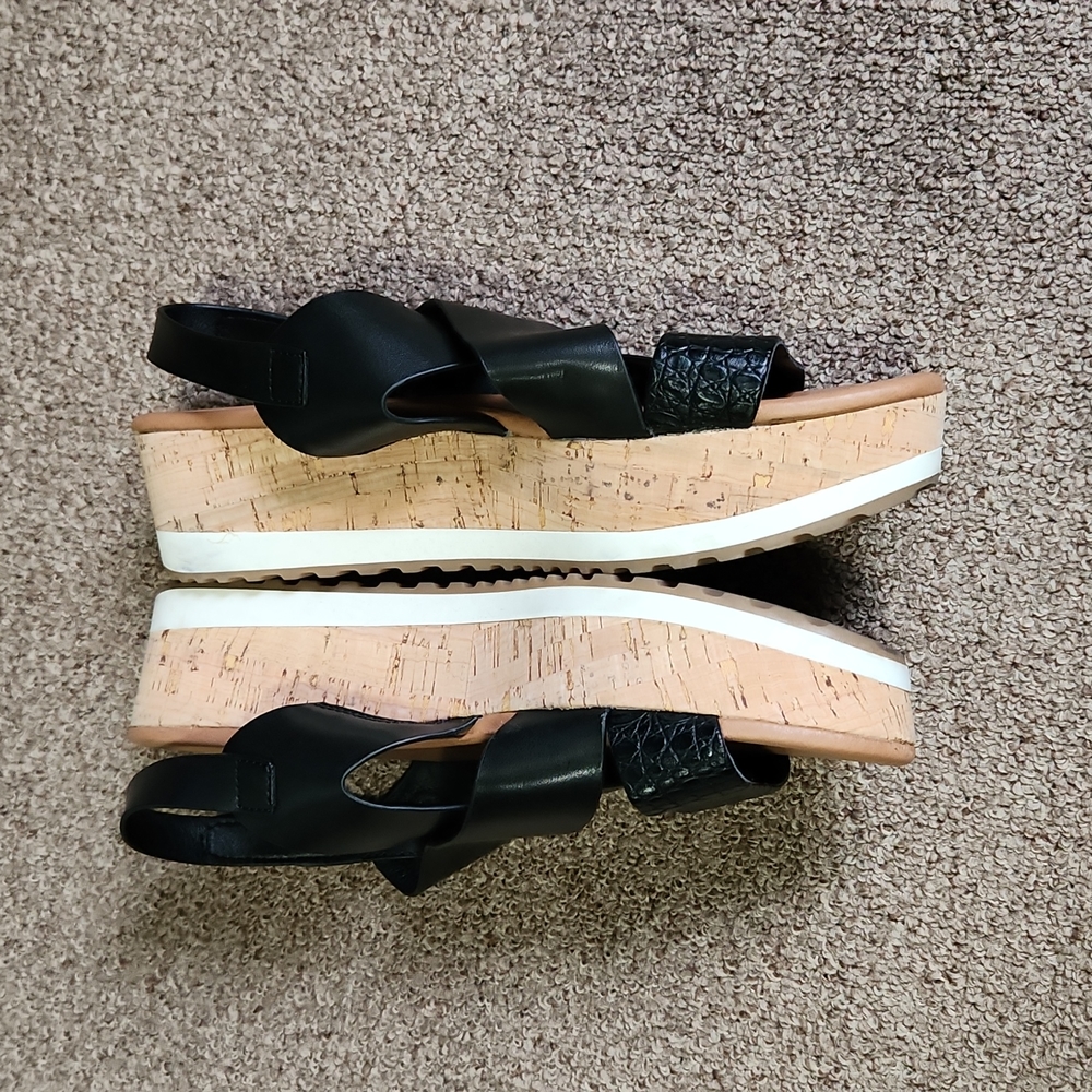 8.5 Black Winta Baretraps